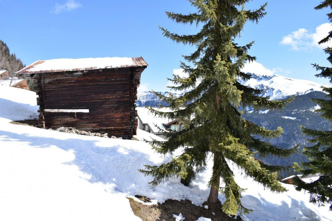 Sportlodge Muerren エクステリア 写真
