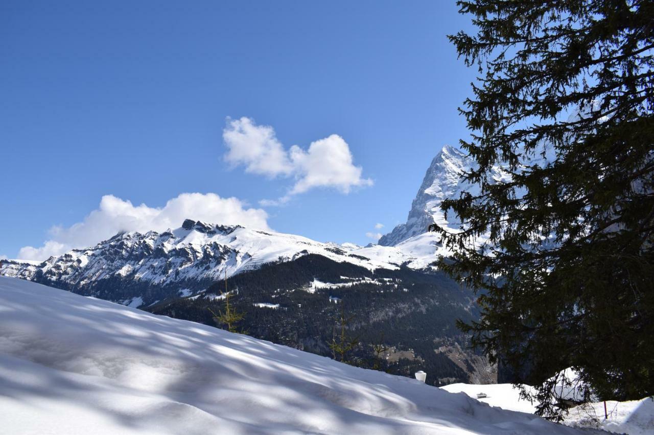 Sportlodge Muerren エクステリア 写真